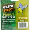 Extra Select Peanut Suet Block