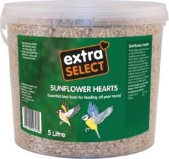 Extra Select Sunflower Heart Bucket 5Ltr