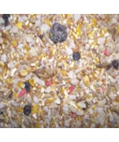 Extra Select Robin & Songbird Food 1kg
