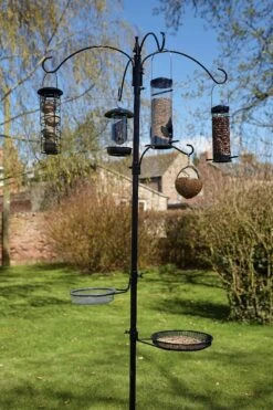 Tom Chambers Nut And Seed Station