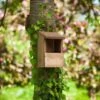 Chapelwood Robin Nest Box Classic, FSC 1 7522005